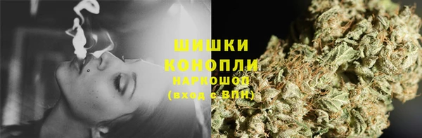 СК Протвино