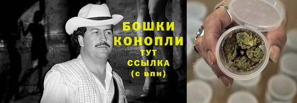 СК Протвино
