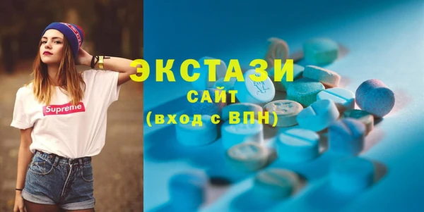 индика Куртамыш