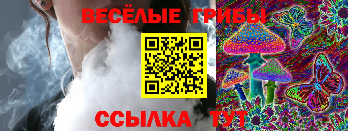 Бошки Шишки Саяногорск