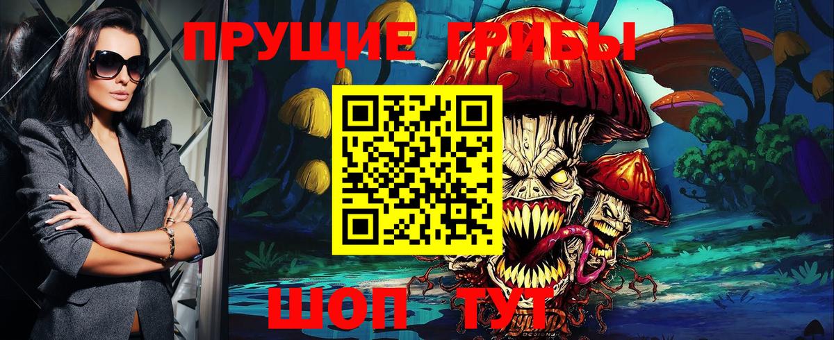 Псилоцибиновые грибы Cubensis Саяногорск